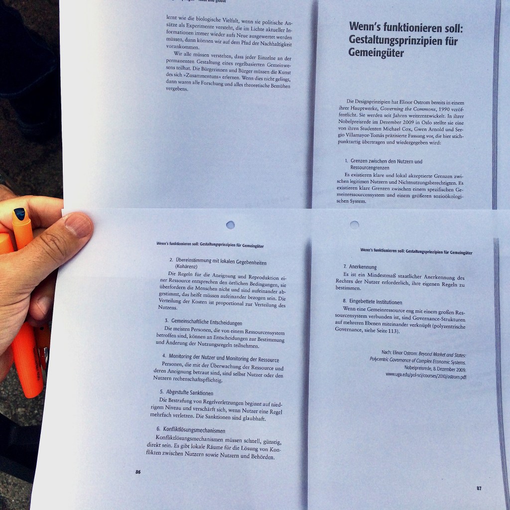 Prinzipien funktionierender Gemeingüter nach Elinor Ostrom 